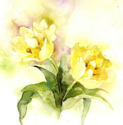 yellowtulip.jpg