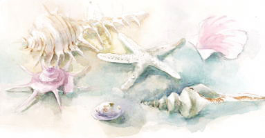shell